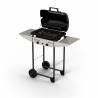 Gratar pe gaz CAMPINGAZ Expert Basic