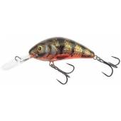 Vobler SALMO RATTLIN HORNET H4.5F 6G YHP