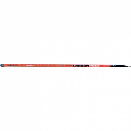 Varga telescopica LINEAEFFE CARBON 5,00M/25G