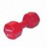 Gantera TOORX Vinyl Dumbbell, 2kg, rosu