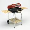 Gratar pe carbuni GRILL CHEF 0518