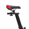 Bicicleta spinning ENERGY FIT EF100