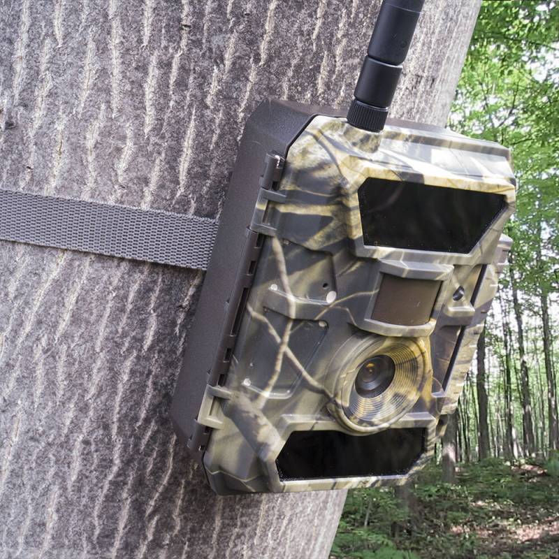 Mult destul mişcare Camera vanatoare PNI Hunting 350C 12M cu Internet, SMS optional, foto pe telefon, email Full 1080P Night Vision - HobbyMall - Camere video vanatoare Mult destul mişcare Camera vanatoare PNI Hunting 350C 12M cu Internet, SMS optional, foto pe telefon, email Full 1080P Night Vision - HobbyMall - Camere video vanatoare