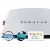 Antena radar Raymarine QUANTUM (Pulse Compressed CHIRP) inclusiv wireless