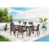 Set mobilier de gradina, masa + 6 scaune PVC Progarden, imitatie ratan