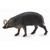 Figurina Porc Sulawesi Babirusa L Collecta