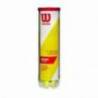 Set mingi tenis Wilson Championship Extra Duty, 4 bucati