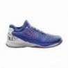 Pantofi sport Wilson Kaos 2.0 SFT Clay Court, barbati, albastru, 41 1/3