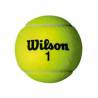 Set mingi tenis Wilson Championship Extra Duty, 4 bucati