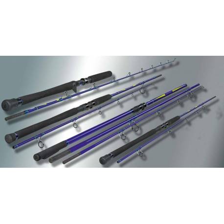 Lanseta spinning Sportex Neptoon Boat, 2.40m, 30lbs, 2 tronsoane