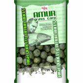 Boilies CARP ZOOM BIG CATCH AMUR 800gr 18mm -Grass Carp