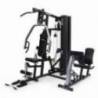 Aparat multifunctional HORIZON TORUS 5, max.150kg