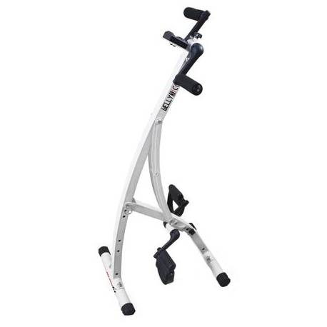 Bicicleta pentru recuperare EVERFIT WELLY S COMBI