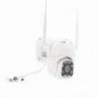 Camera supraveghere video PNI IP230T wireless, 1080P cu PTZ H264+