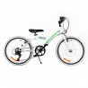 Bicicleta MTB PASSATI FOX 20", ALB/VERDE