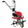 Motosapa Honda FG220K1 DET2, latime de lucru 54.5 cm