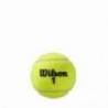 Set mingi tenis Wilson Roland Garros All Court, 4 mingi/cutie