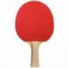 Paleta Cornilleau Sport 100