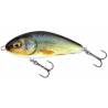 Vobler SALMO Fatso F10F Real Roach, Floating, 10cm, 48g