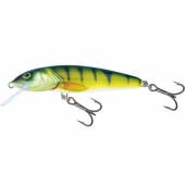 Vobler Salmo Minnow M7F PH, Floating, 7cm, 6g