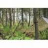 Tenda 3×3 Prelata Camo DD Hammocks