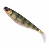 Shad Jaxon Intesa XXL, 23cm, 76g, culoare F