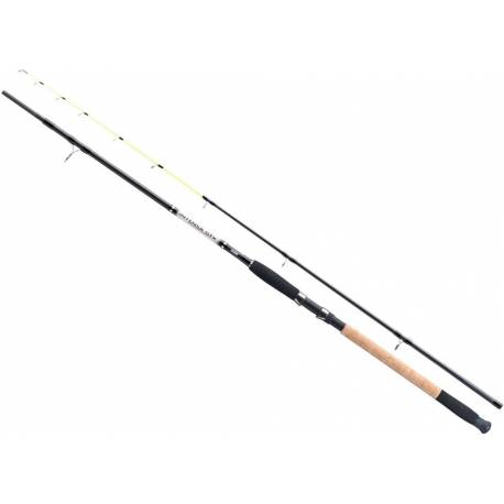 Lanseta somn Jaxon Intensa GTX Power Tip Boat, 2.70m, 50-120g, 2 tronsoane