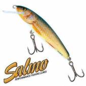 Vobler Salmo Minnow M7F RR, Floating, 7cm, 6g