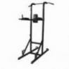 Aparat multifunctional Dayu Fitness Power Tower DY-DR-1025, negru, max. 100kg