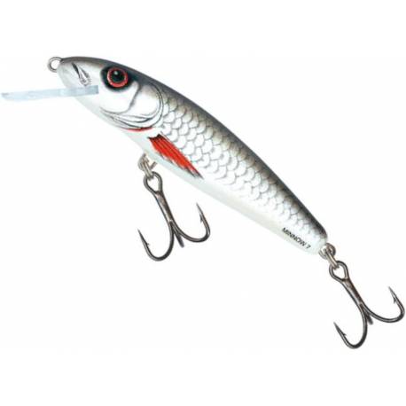 Vobler SALMO Minnow M5F D, Floating, 5cm, 3g