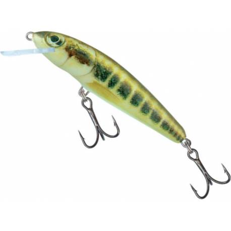 Vobler SALMO Minnow M5F M, Floating, 5cm, 3g