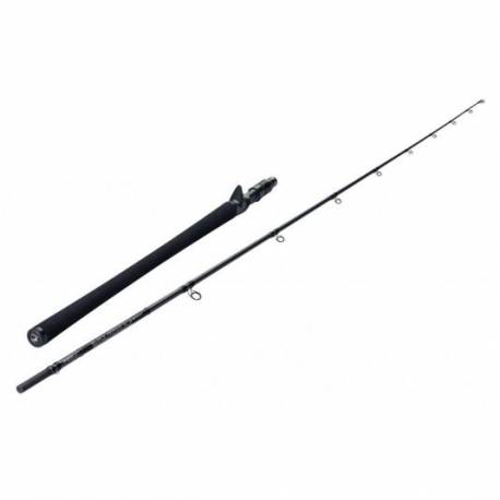 Lanseta SPORTEX BLACK ARROW G-3 Baitcast, 2.55m, 100g, 2 tronsoane