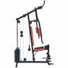 Aparat multifunctional fitness cu stepper ORION Core L200, max 110kg