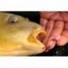 Porumb artificial KORDA POP-UP MAIZE SQUID ROZ 12 buc/plic