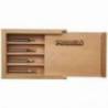 Set 4 freze PROXXON MICROMOT HSS-Co5