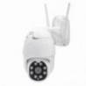 Camera supraveghere video wireless PNI IP230TLR 1080P cu PTZ H264+