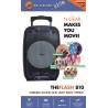 Boxa portabila N-GEAR The Flash 810, Bluetooth, microfon inclus