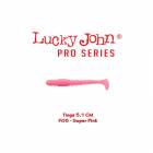 Shad LUCKY JOHN Tioga 2", 5.1cm, culoare F05, 10buc/plic