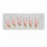 Montura LINEAEFFE SABIKI HIPERCATCH SHRIMP Nr.4, 6 buc/plic