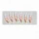 Montura LINEAEFFE SABIKI HIPERCATCH SHRIMP Nr.6, 6 buc/plic