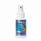 Spray VAN DEN EYNDE Magic Aroma Strawberry 100ml