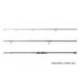 Lanseta DELPHIN Symbol Carper 2, 3.60m, 3.00lbs, 3 tronsoane