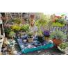 COVORAS PENTRU PLANTAT CITY GARDENING L