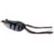 Broasca SAVAGE Hop Walker Frog 5.5cm, 15g, Gill