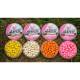 Wafters MAINLINE Match Dumbell Orange Chocolate 6mm, 50ml