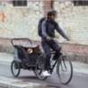 Kit transport animale pentru remorca de bicicleta Thule Courier