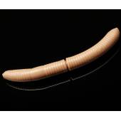 Naluci soft LIBRA Fatty D'Worm 6.5cm, culoare 035, 10buc/borcan