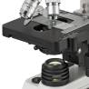 Microscop optic Bresser Researcher Bino 40-1000x