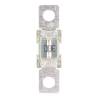 Siguranta MEGA-fuse 300A/58V (1 buc) - VICTRON Energy