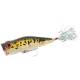 Popper HERAKLES Pop-Ey, 7cm, 9g, culoare Baby Bass